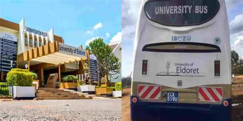 university of eldoret courses offered